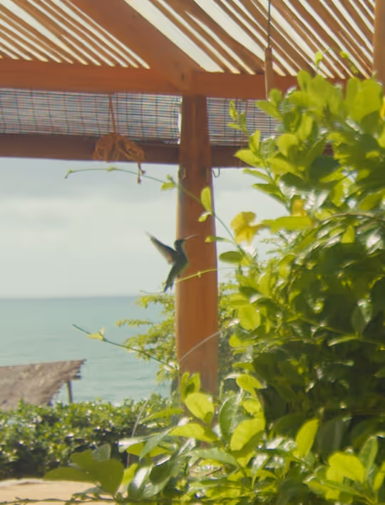 Retiro wellness no Kilombo Villas